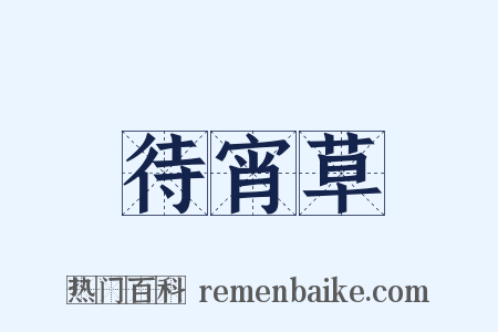 待宵草是什么意思的图片